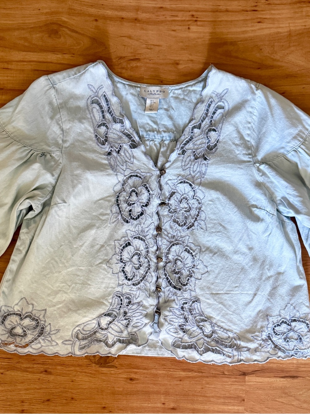 Calypso St. Barth Pale Blue Embroidered Button-Down Top